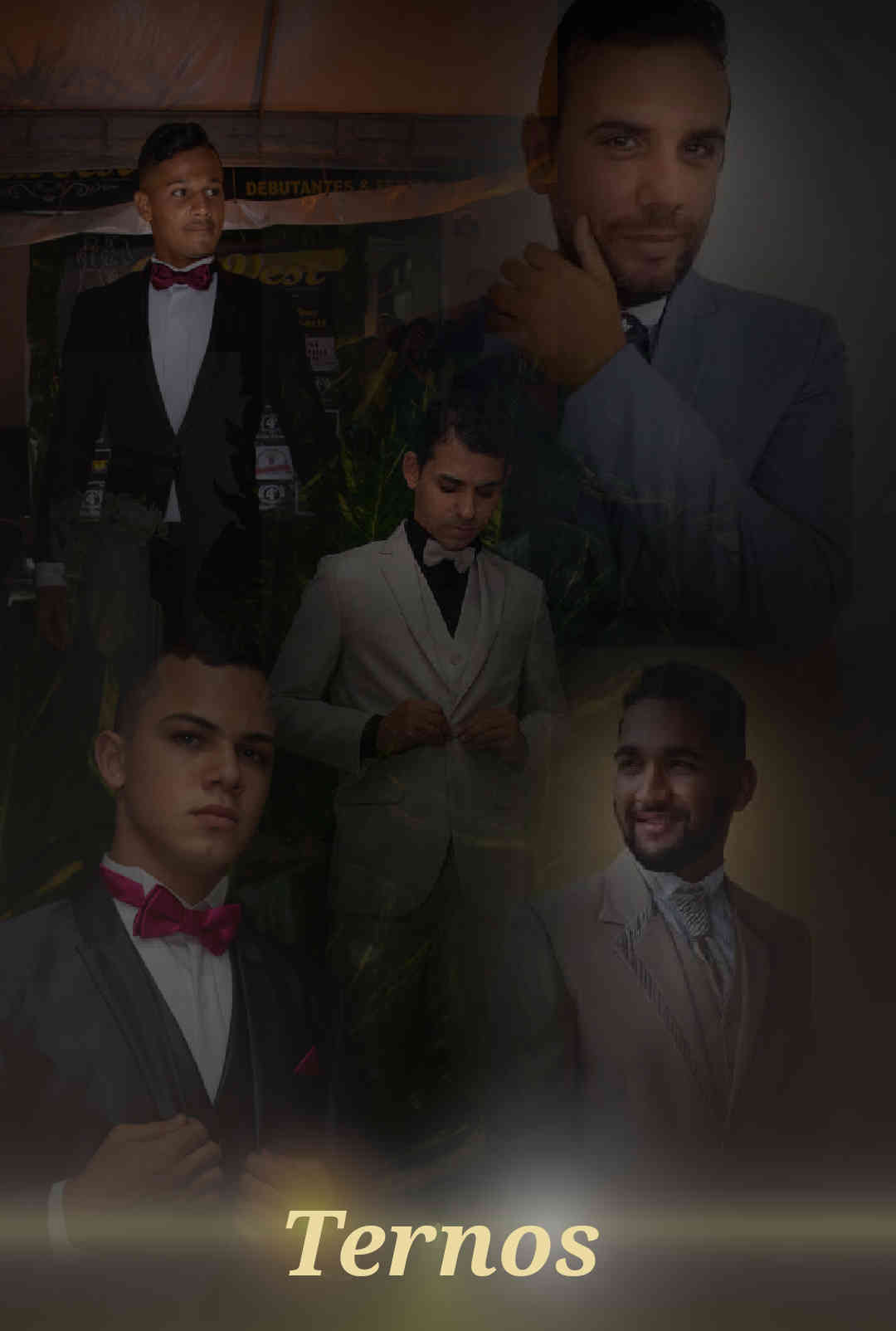  Deculpe, estamos trabalahndo na exibição da imagem 